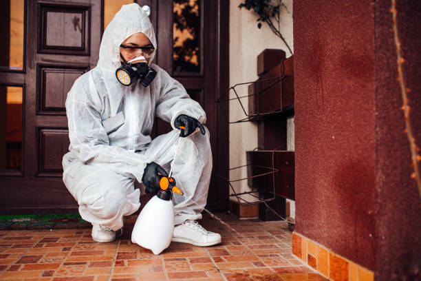 Reliable Ant Control contractor in Buckhead Ridge, FL by Nex Pest Control