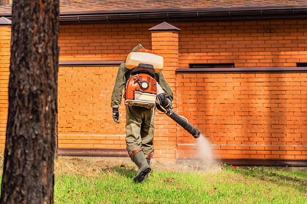 Trusted Ant Control service in Buckhead Ridge, FL - Nex Pest Control